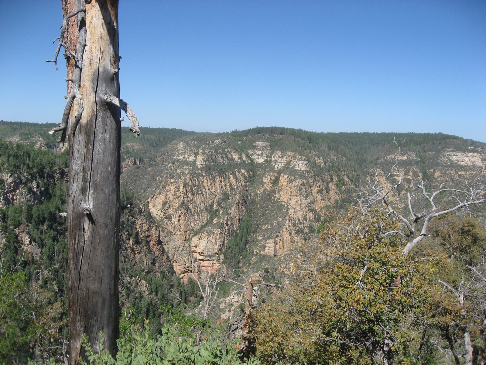 Az 2009 0035a