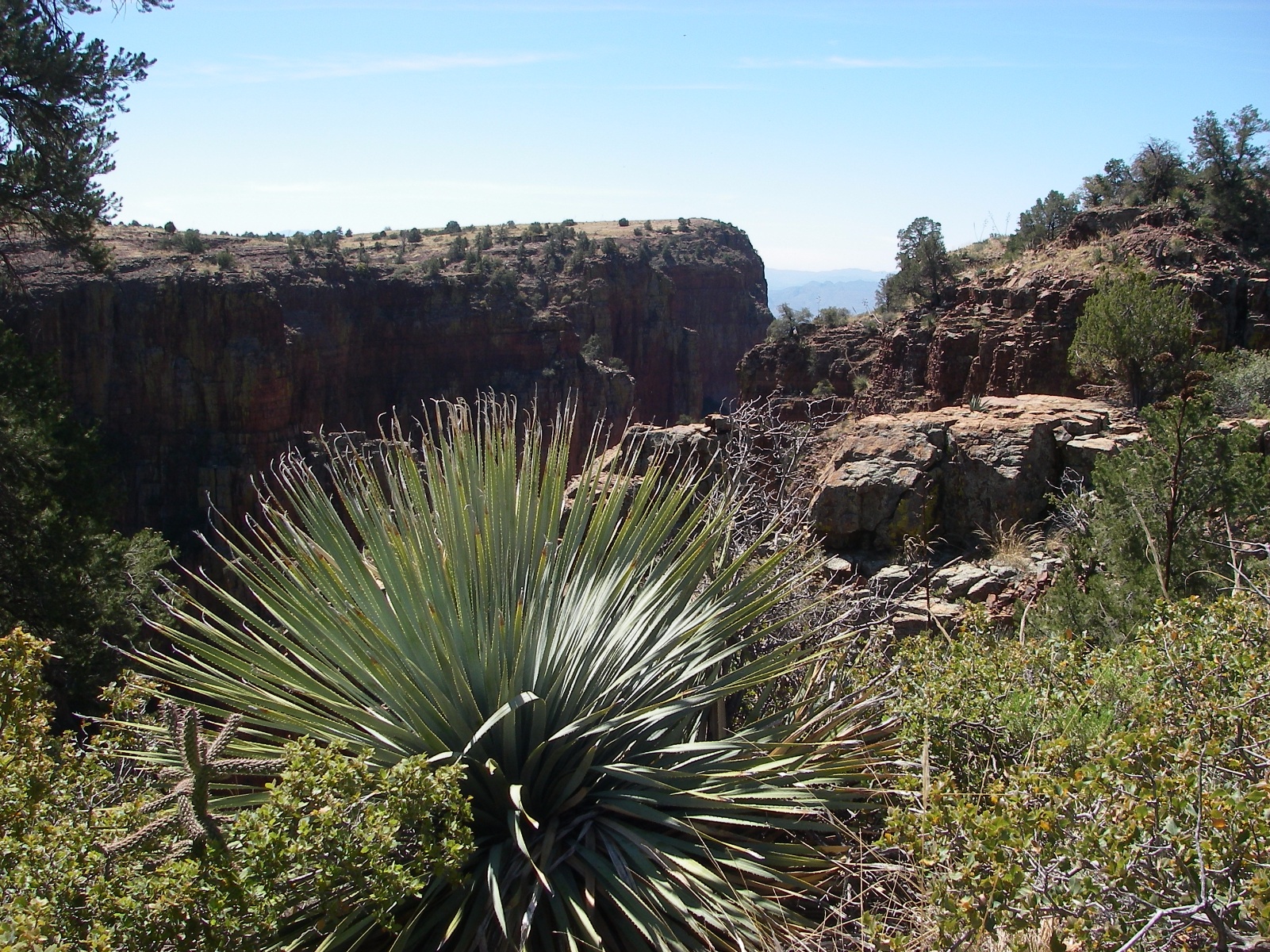 Parker canyon arizona 07