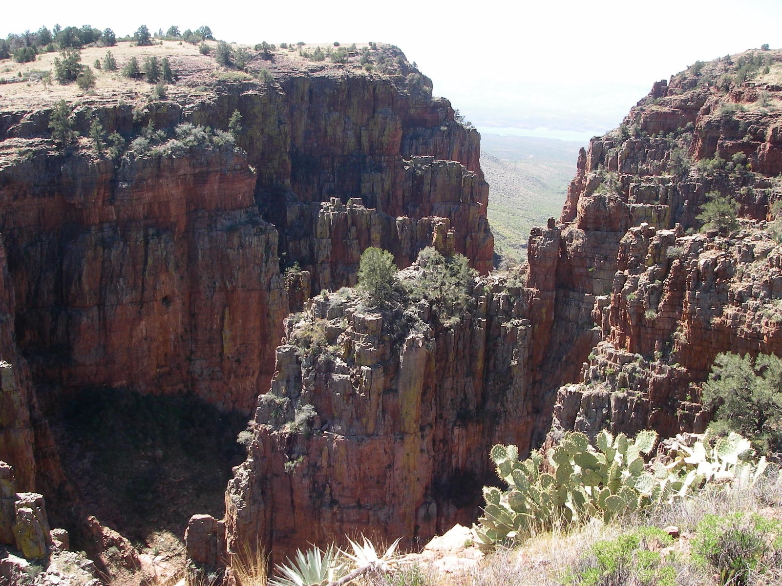 Parker canyon arizona 08