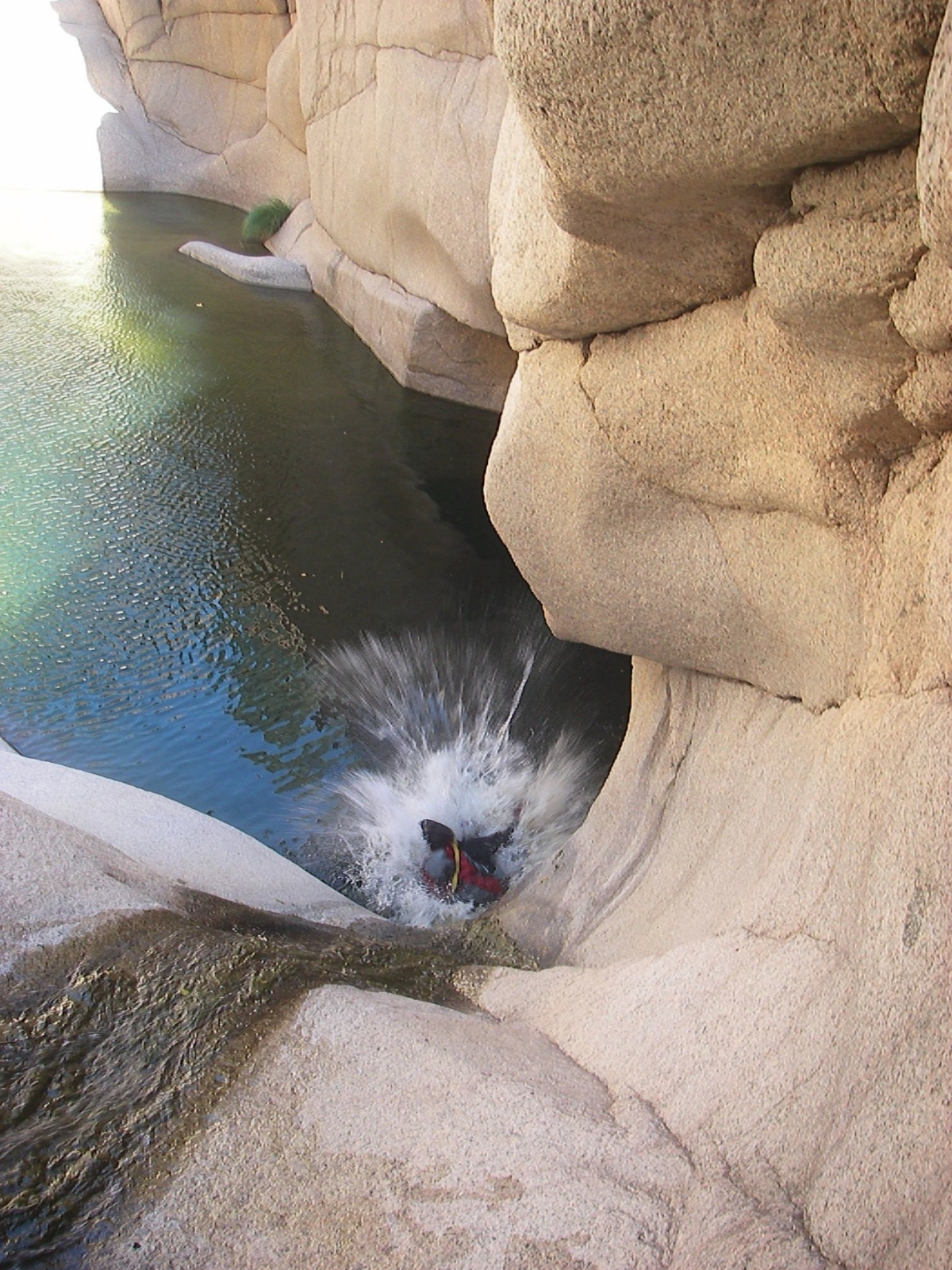 Arizona salome grotto 48