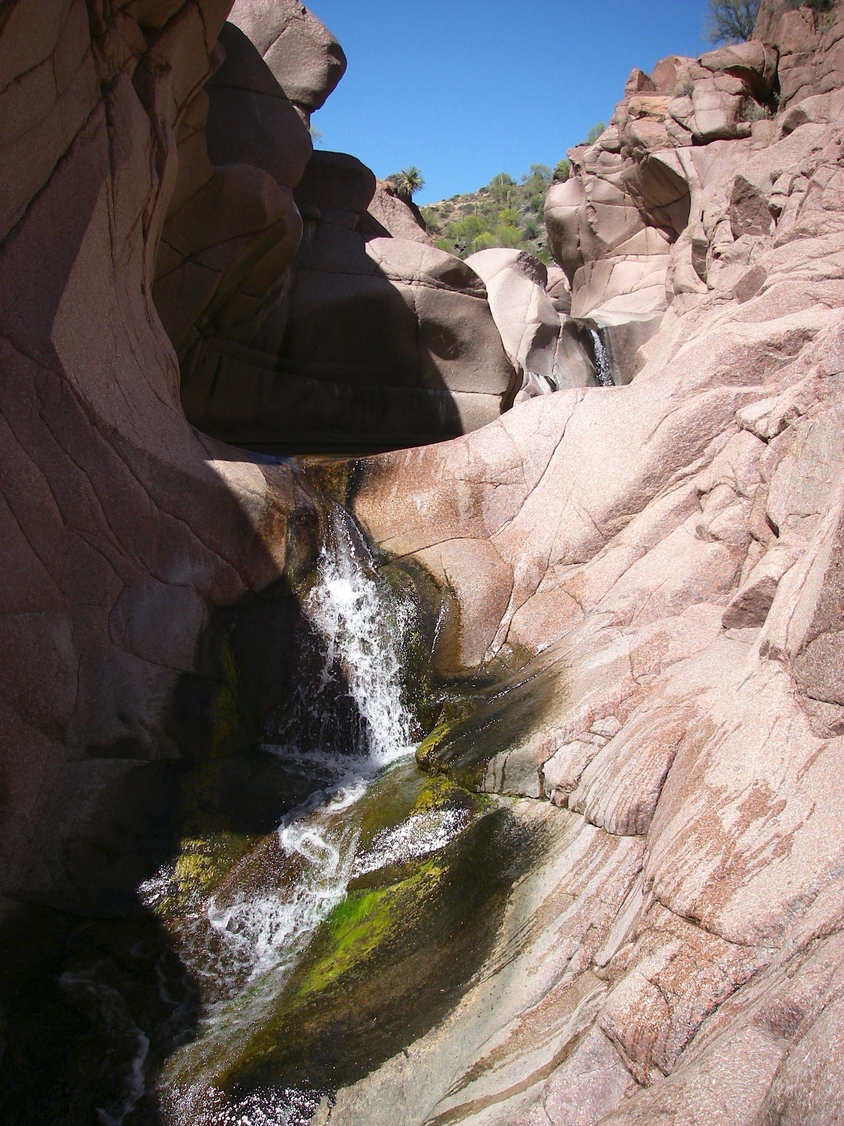 Arizona salome jug 23