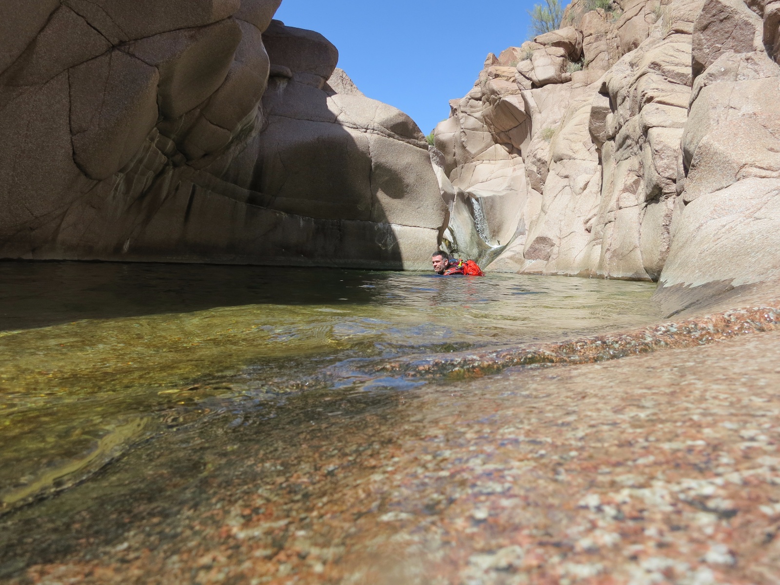 Arizona salome jug 28