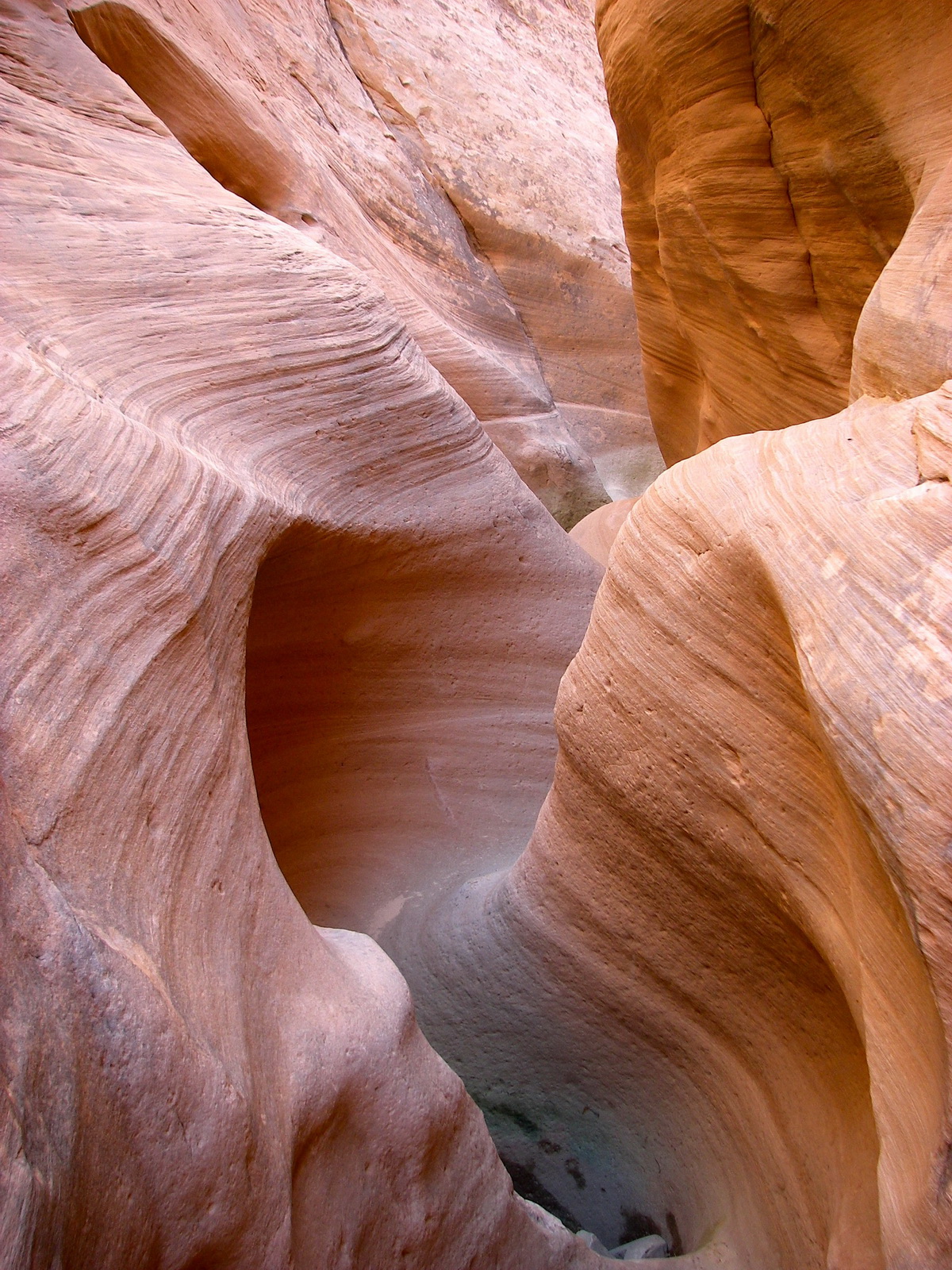 Cable canyon 14