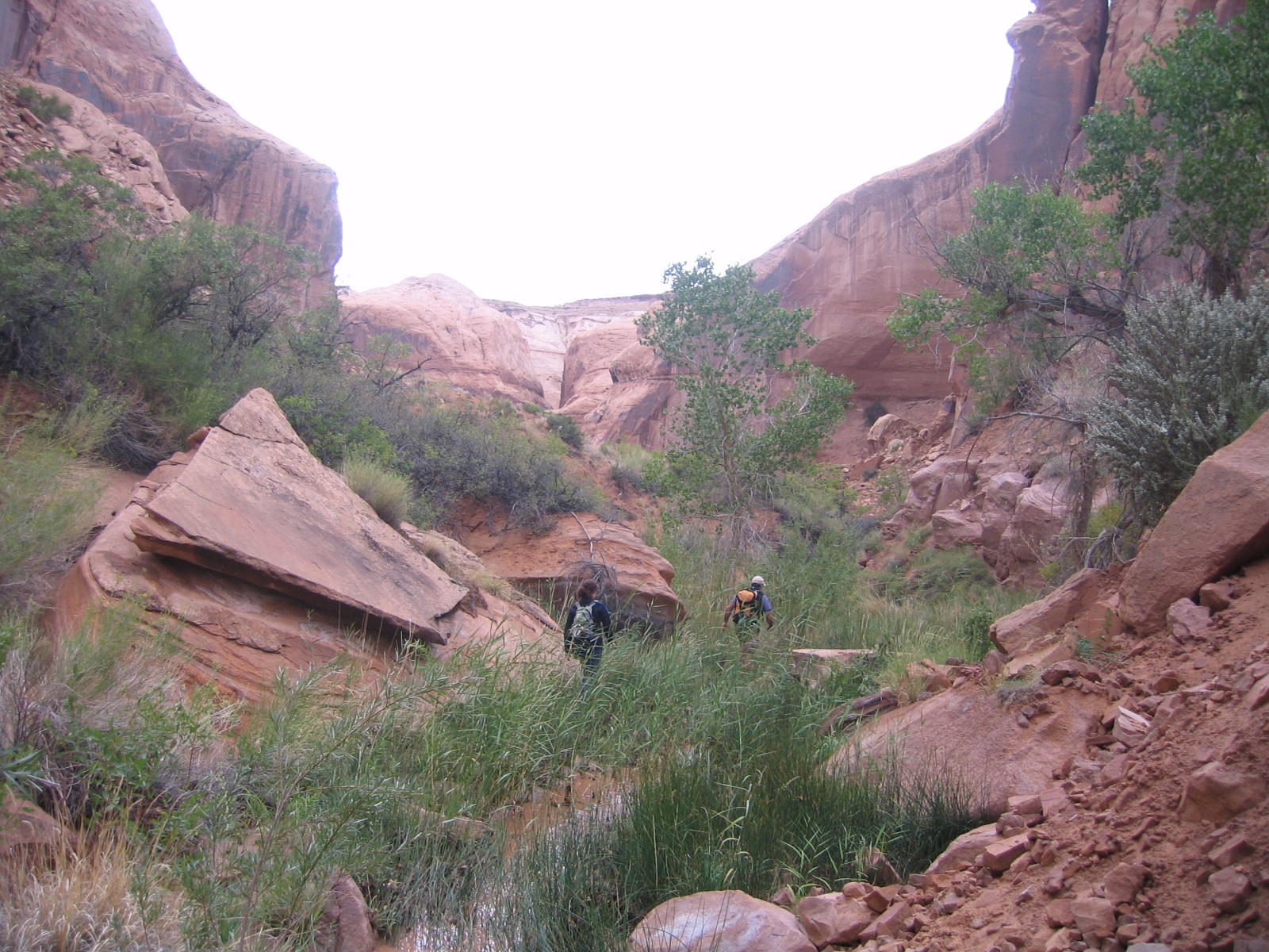 Mind bender canyon 21