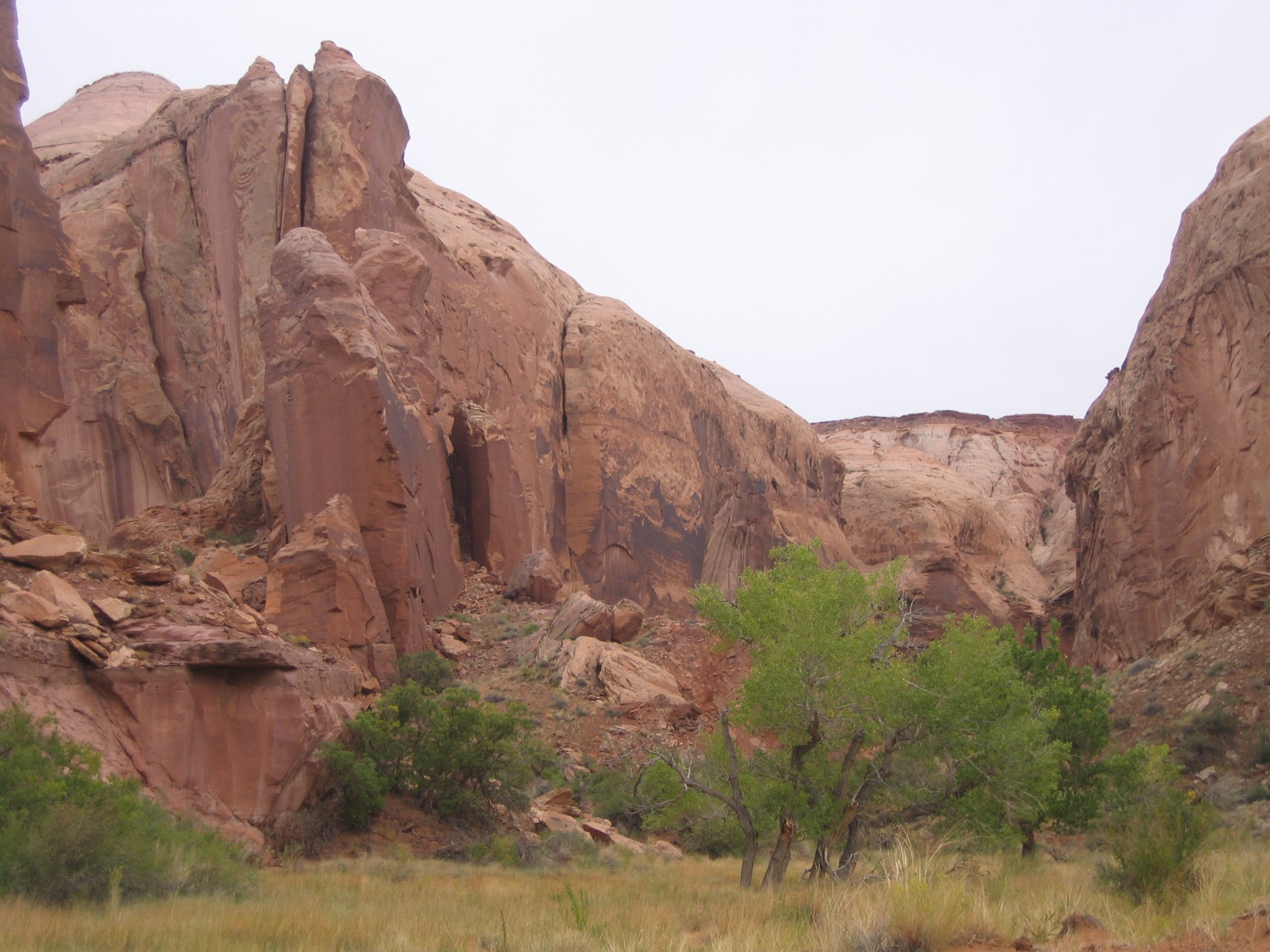 Mind bender canyon 22