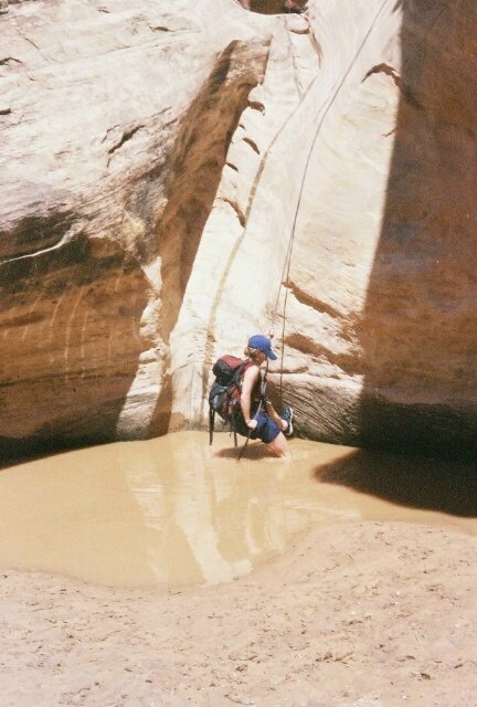 Quandry08