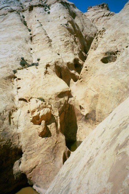 Quandry27