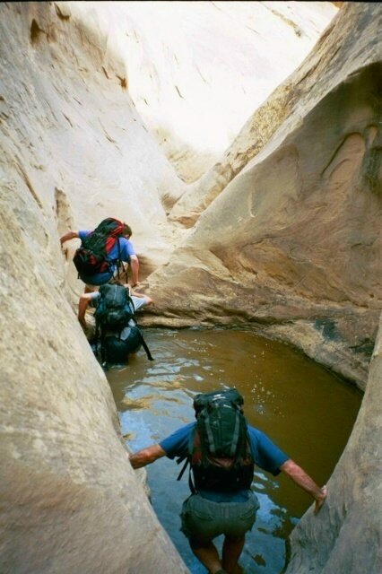 Quandry31