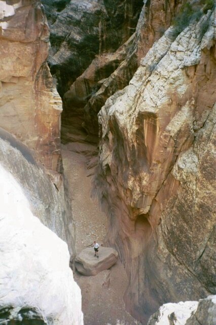 Quandry37