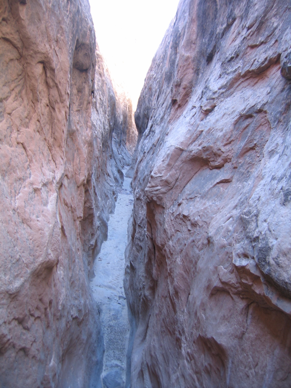 Robbers roost 08