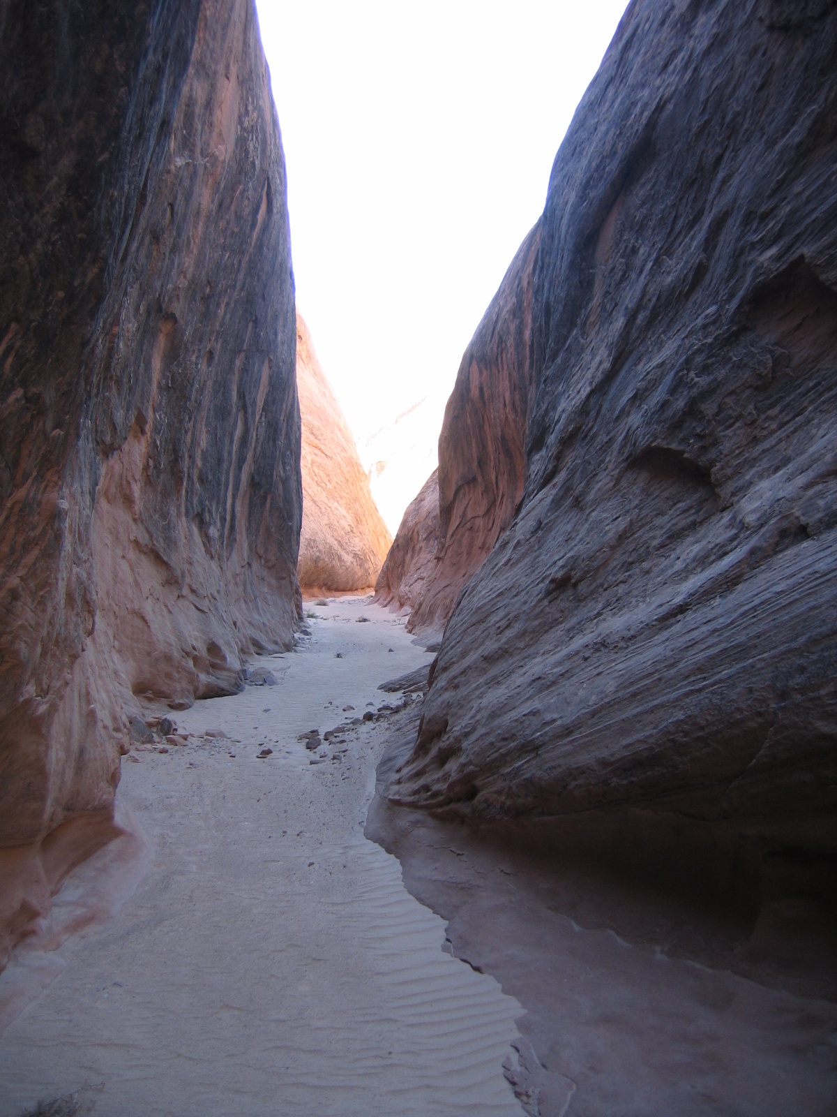 Robbers roost 10
