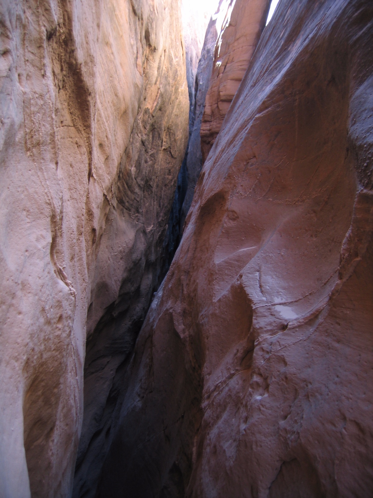 Robbers roost 12