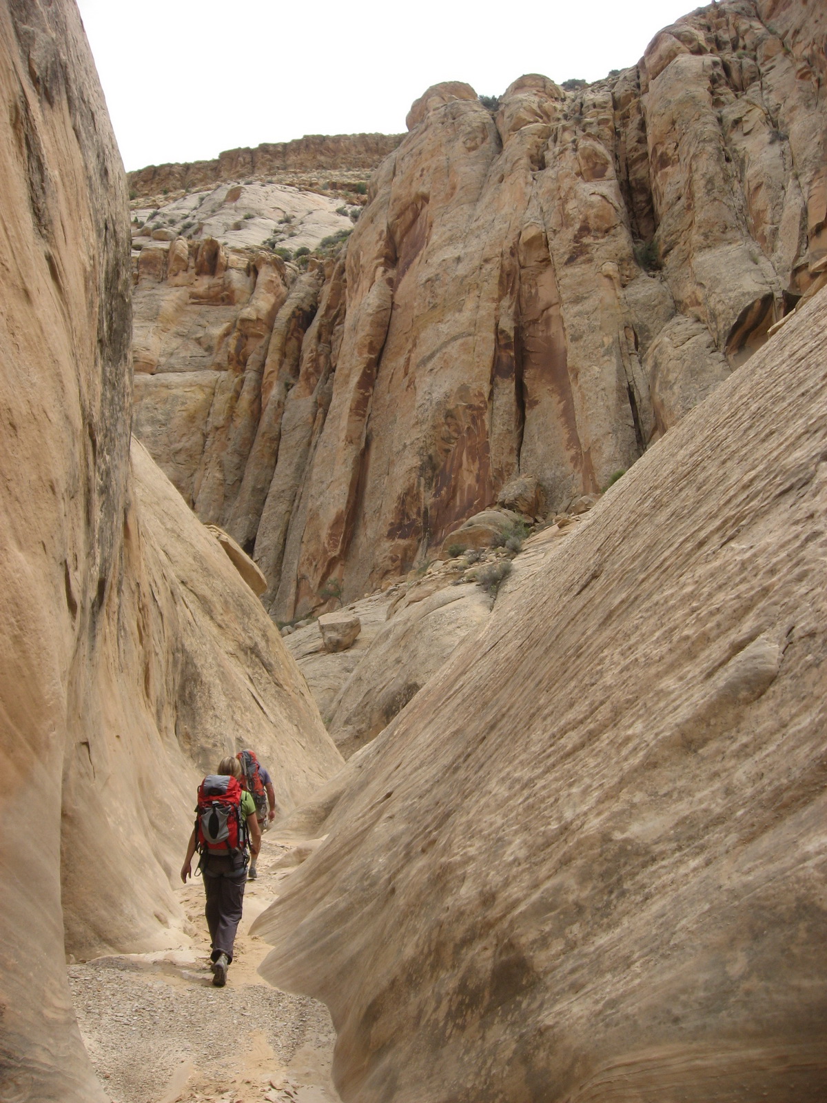 Segers canyon 15