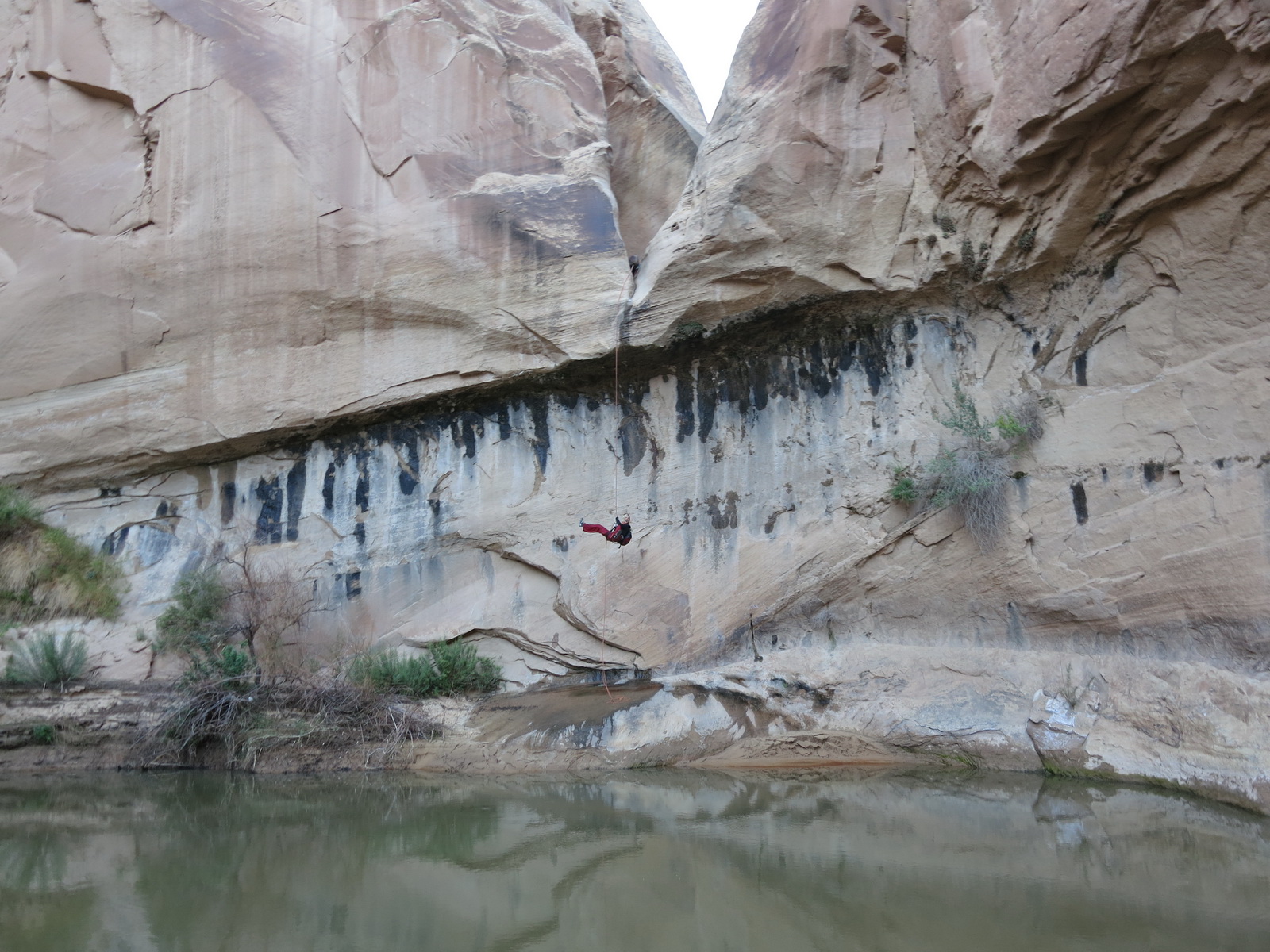 Segers canyon 44