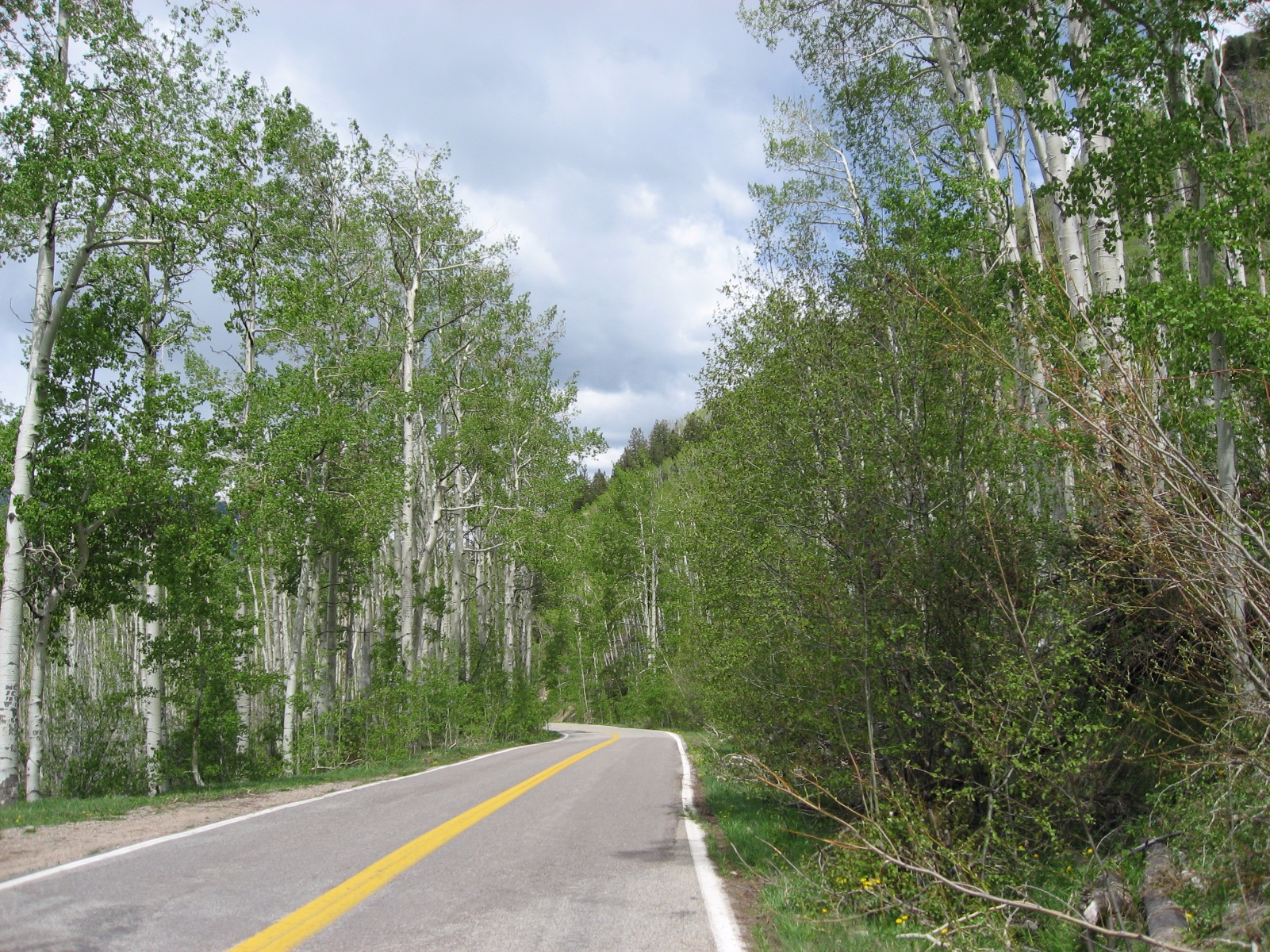 Aspen0016