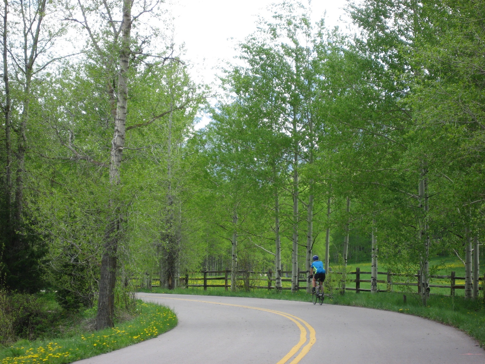 Aspen0022a