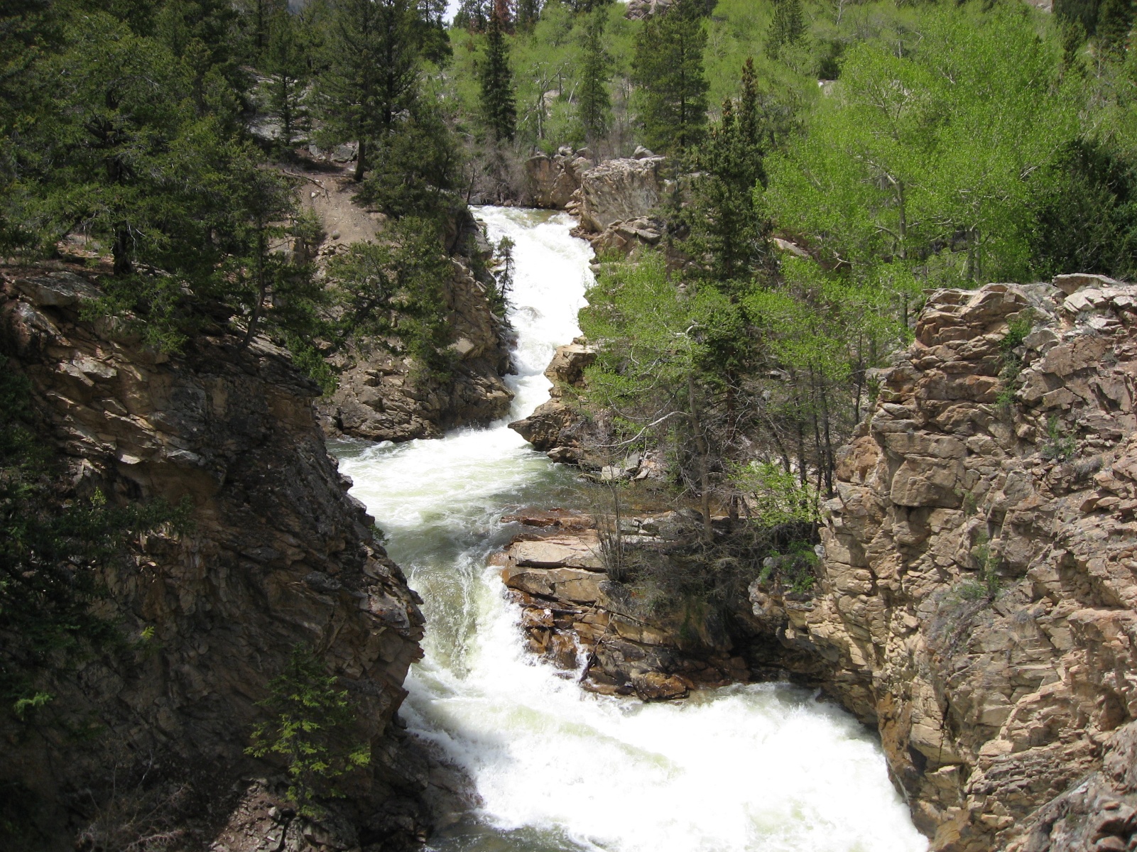 Aspen0031