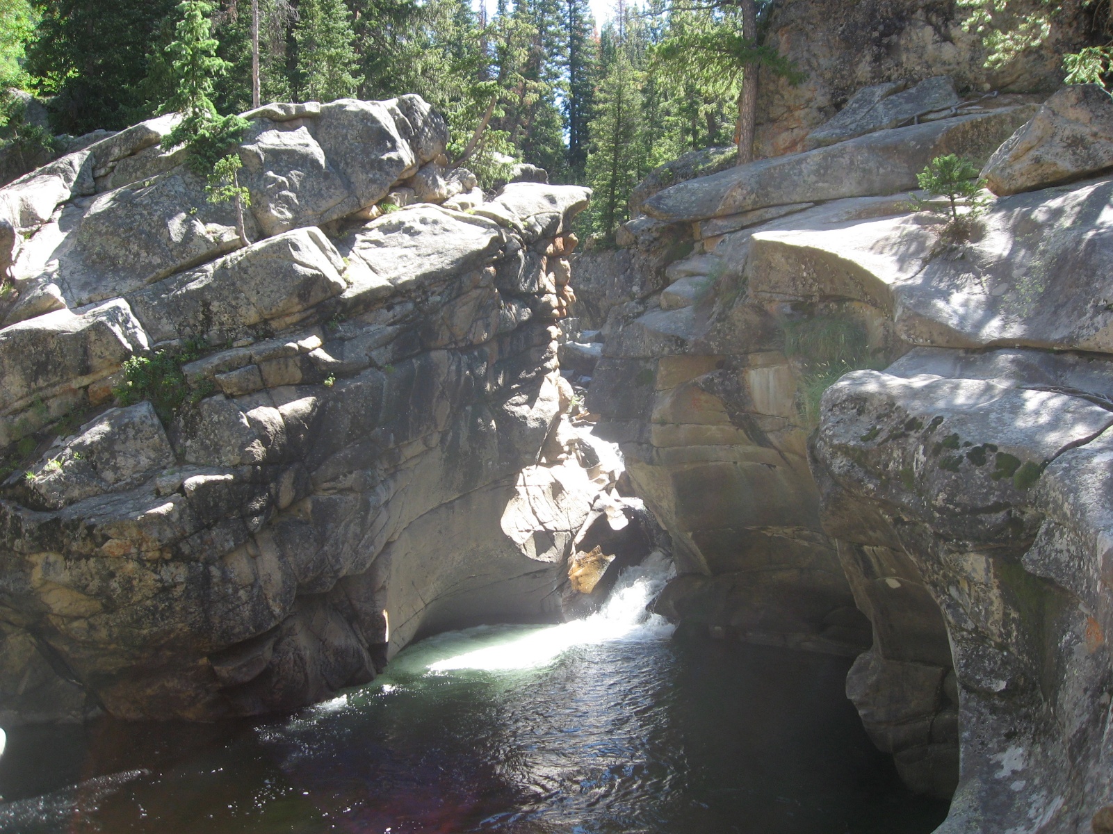 Aspen0037