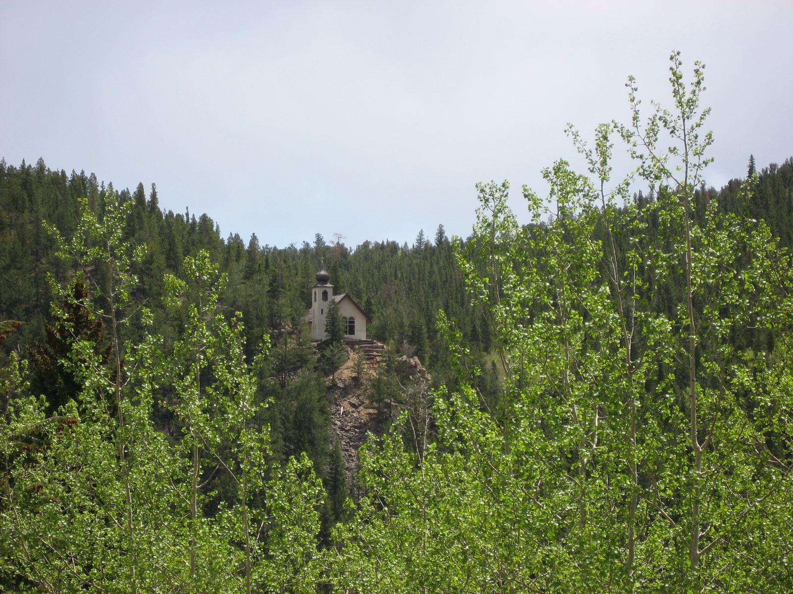 Ward0014