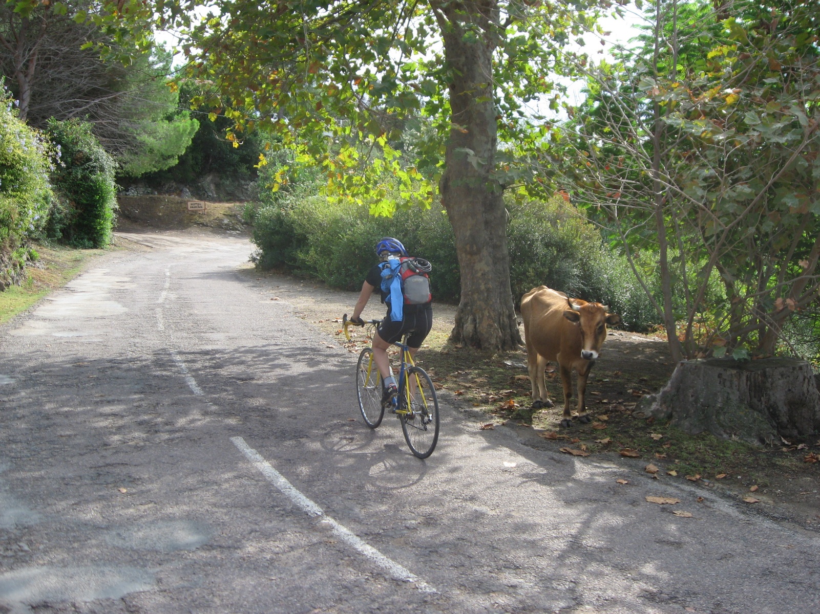 Corsica 0067