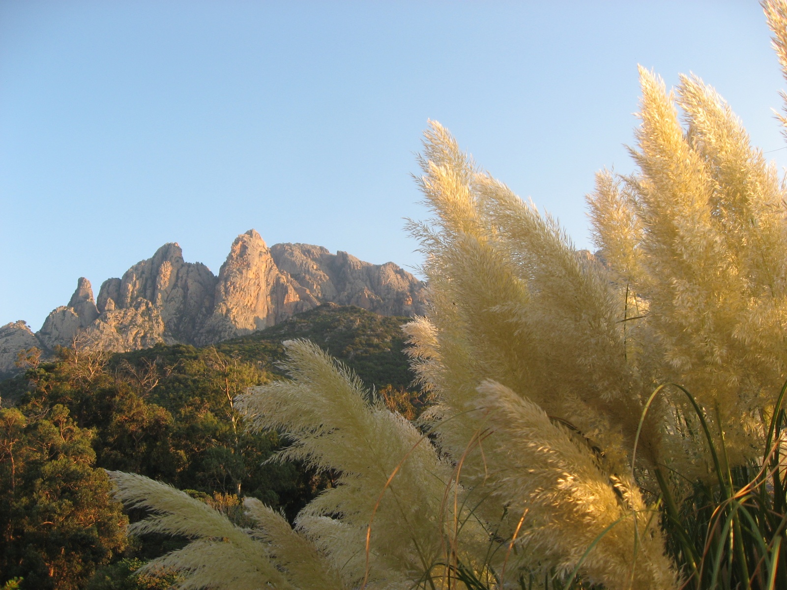 Corsica 0084