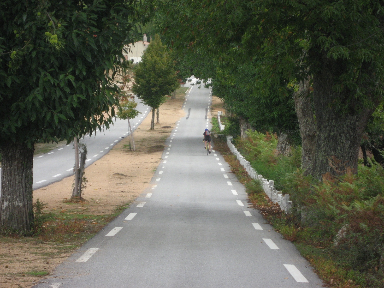 Corsica 0126