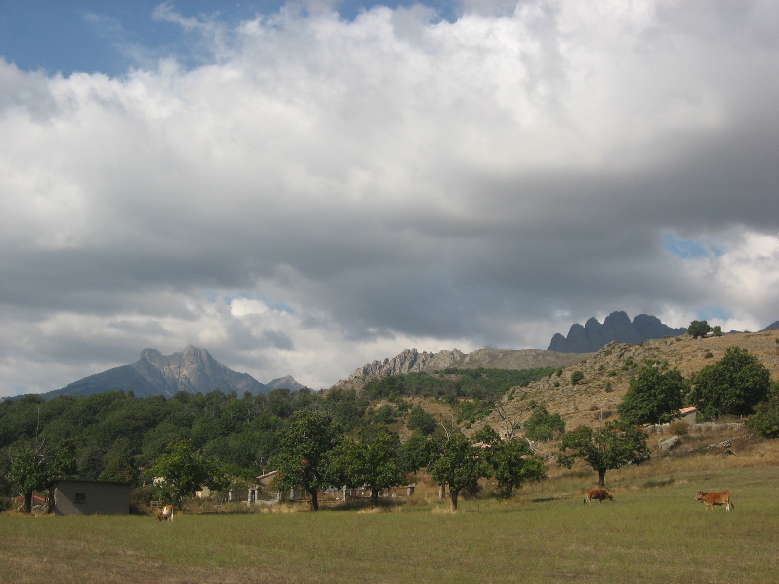 Corsica 0138
