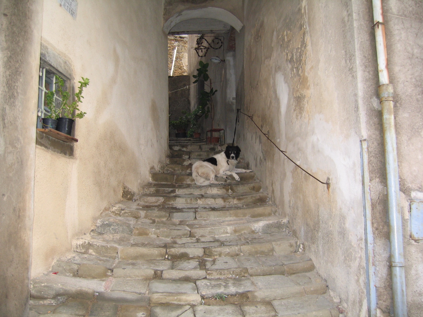 IMG 0470