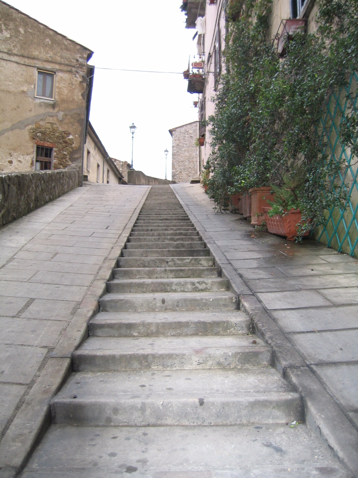 IMG 0472