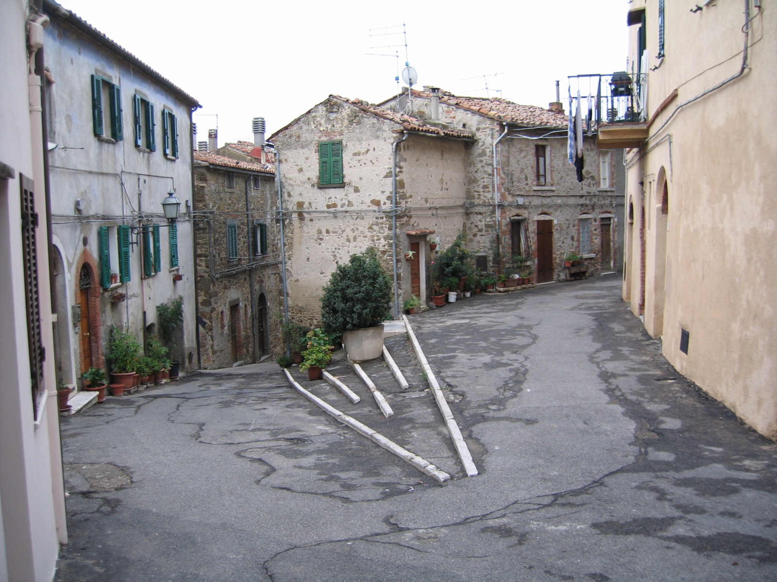 IMG 0473