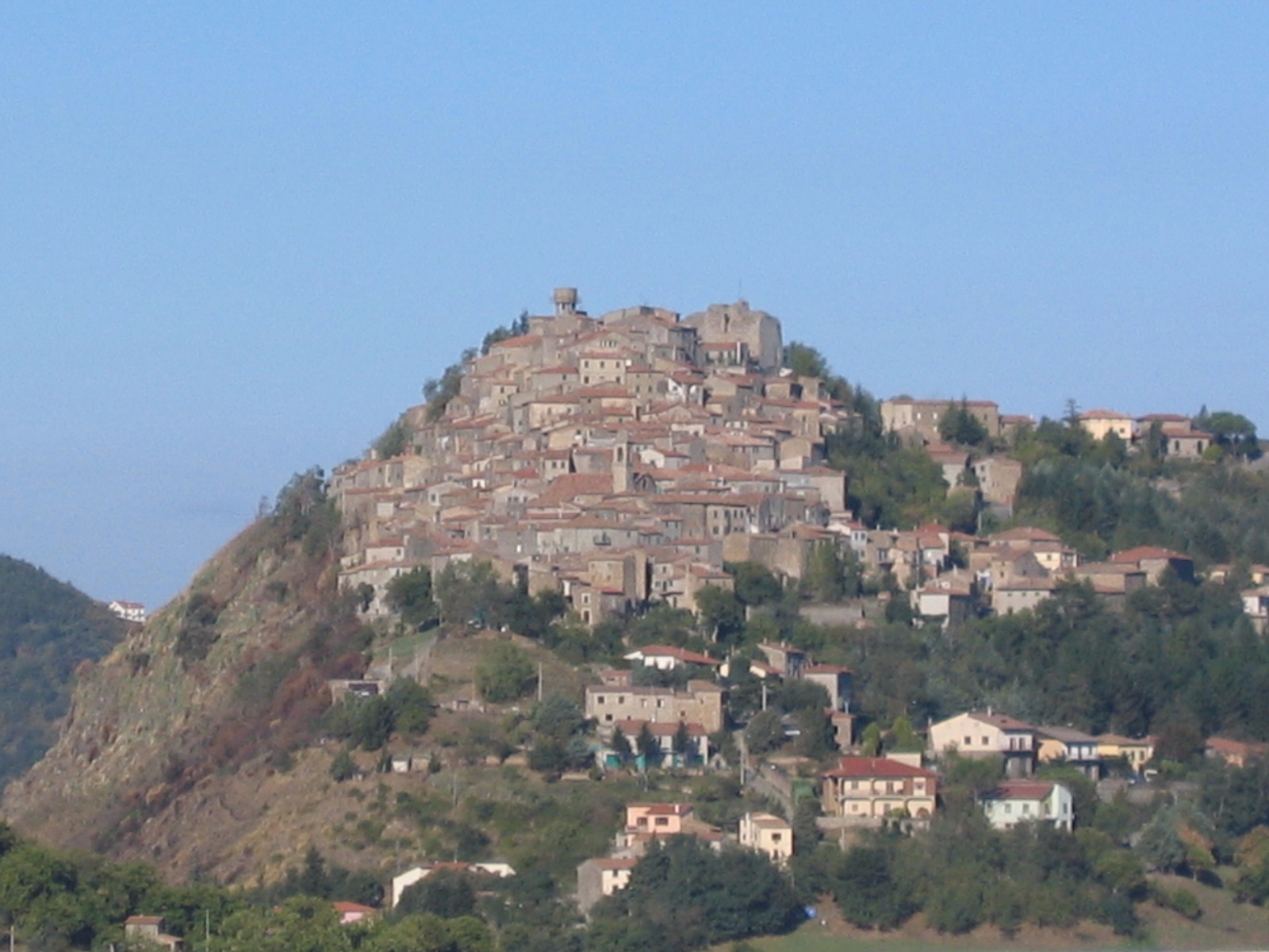 IMG 0517