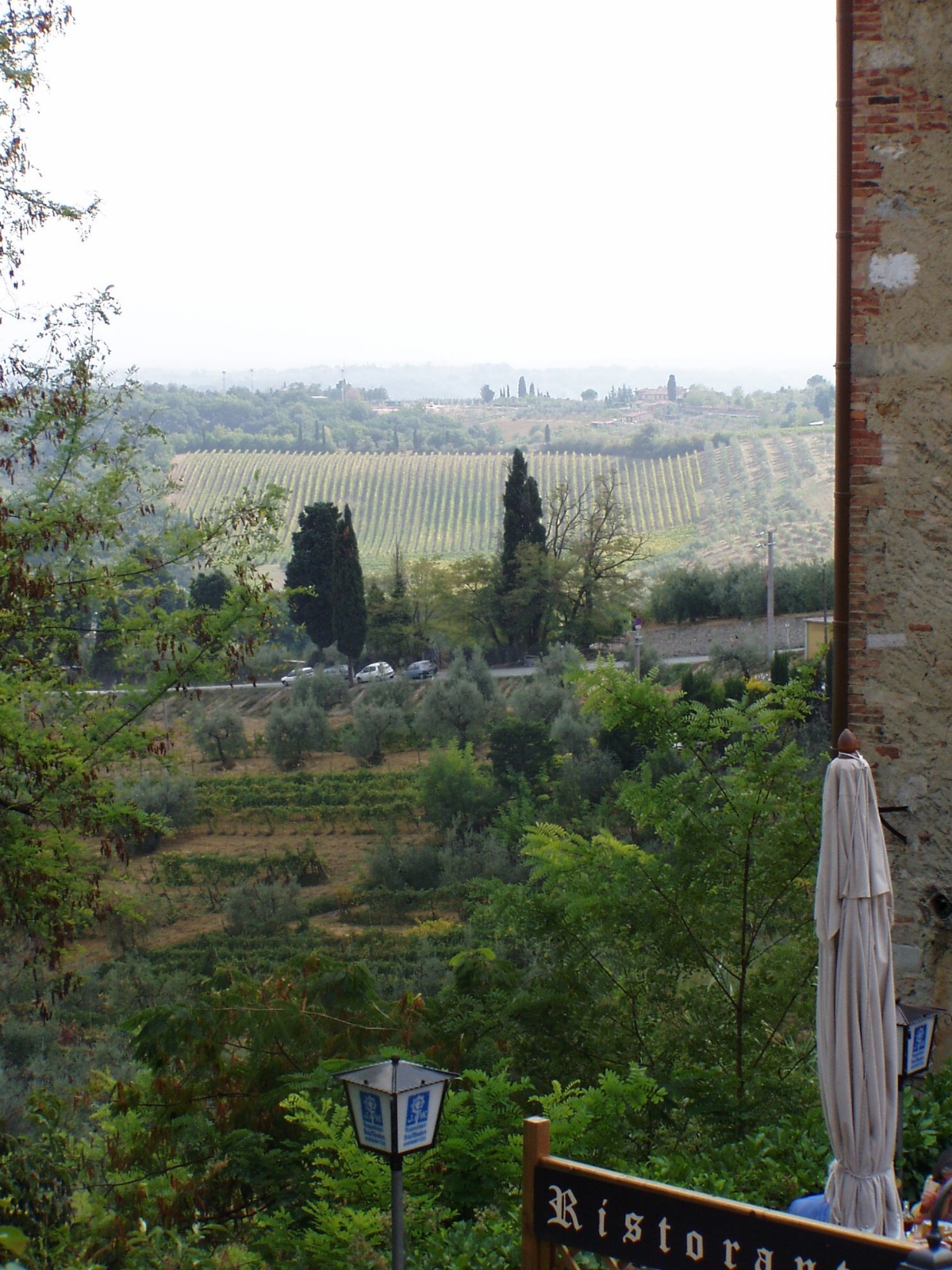 IMG 0615E