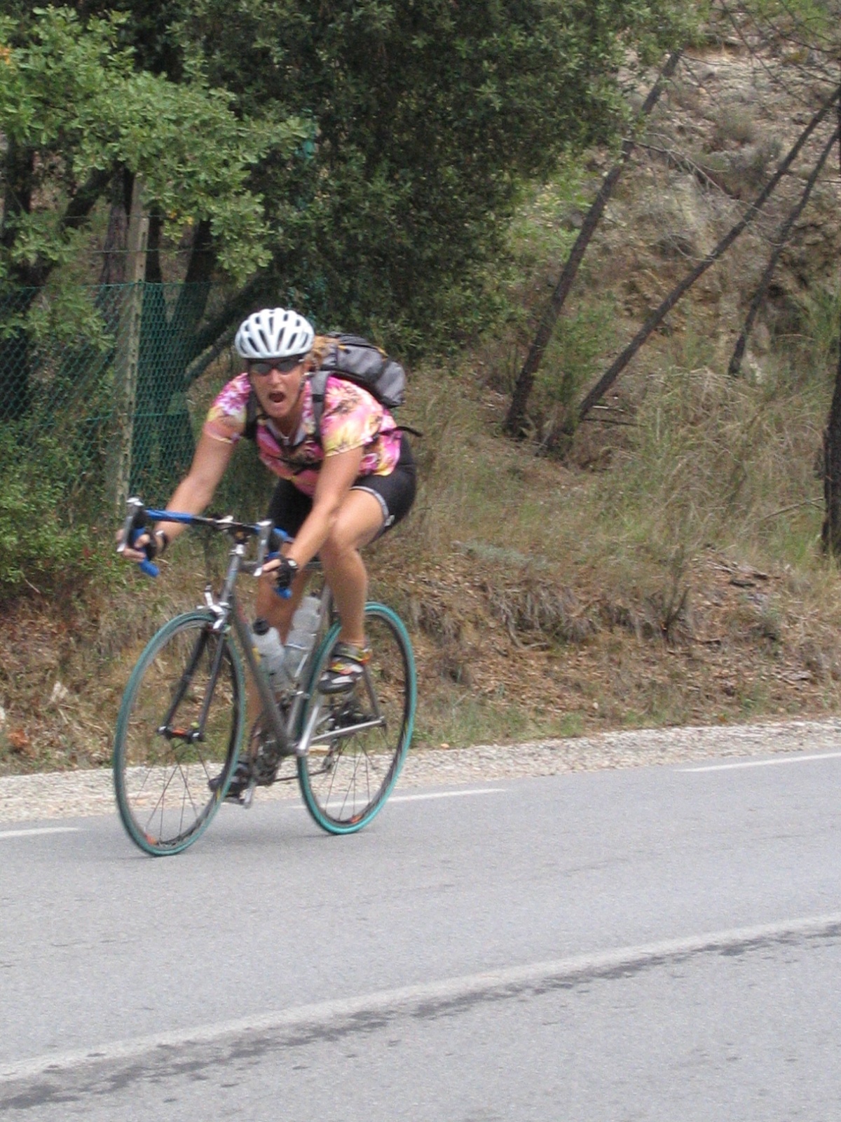 IMG 0638