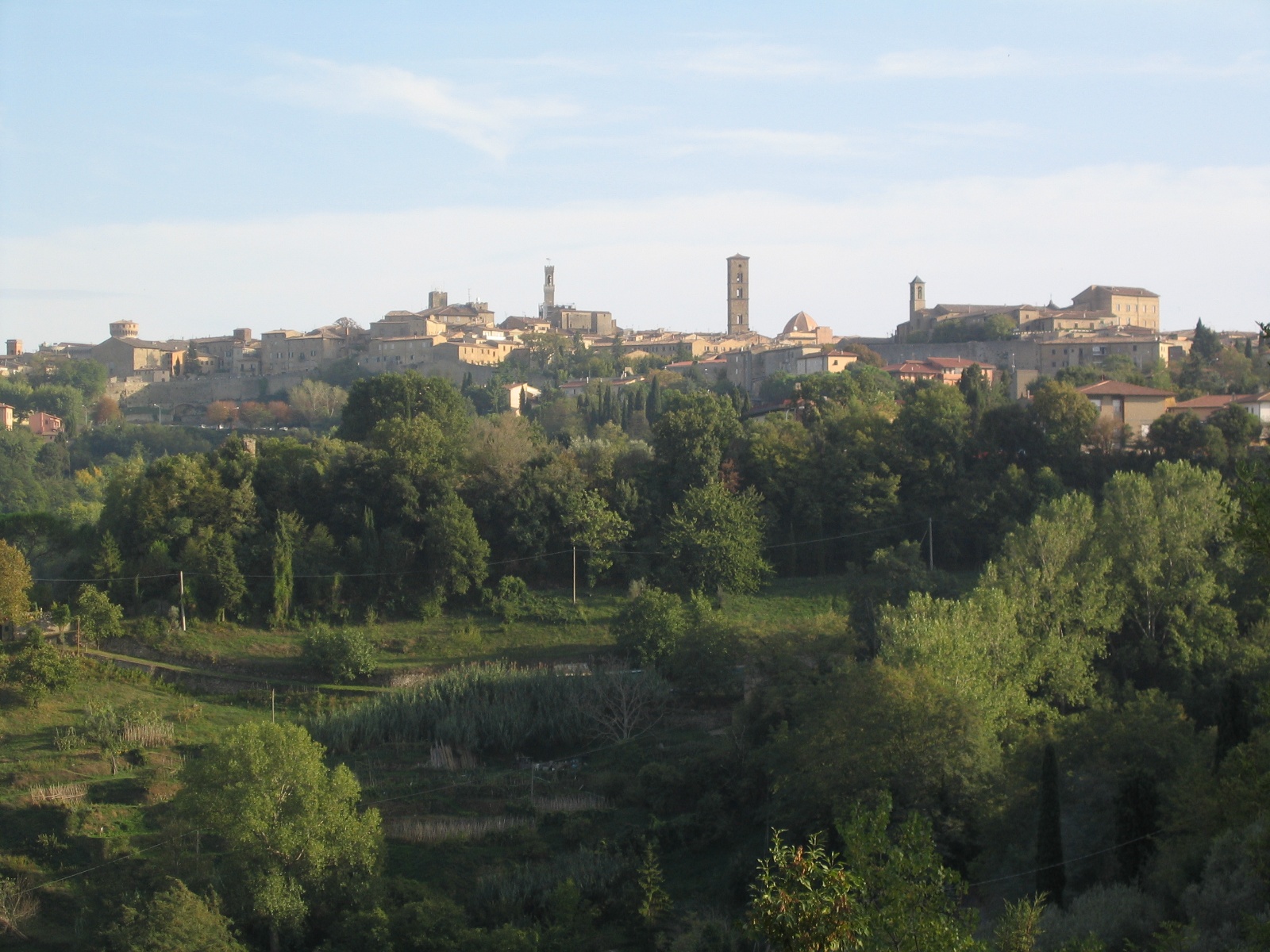 IMG 0663