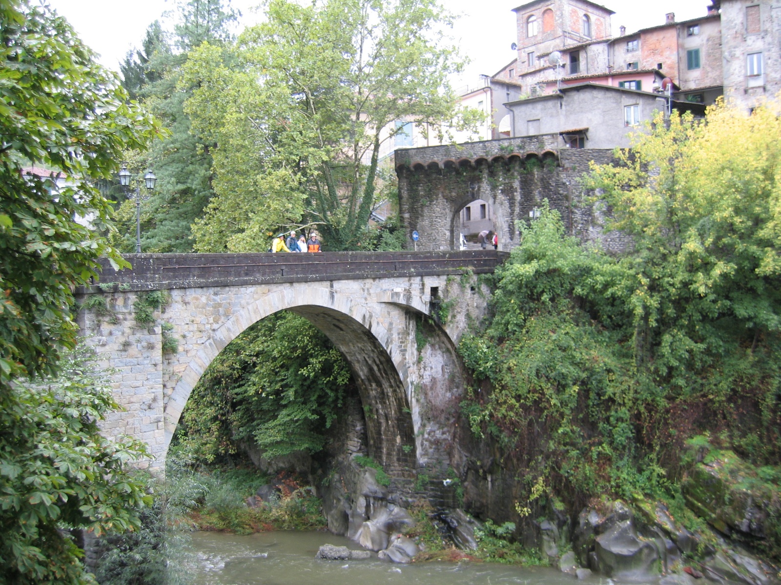 IMG 0740