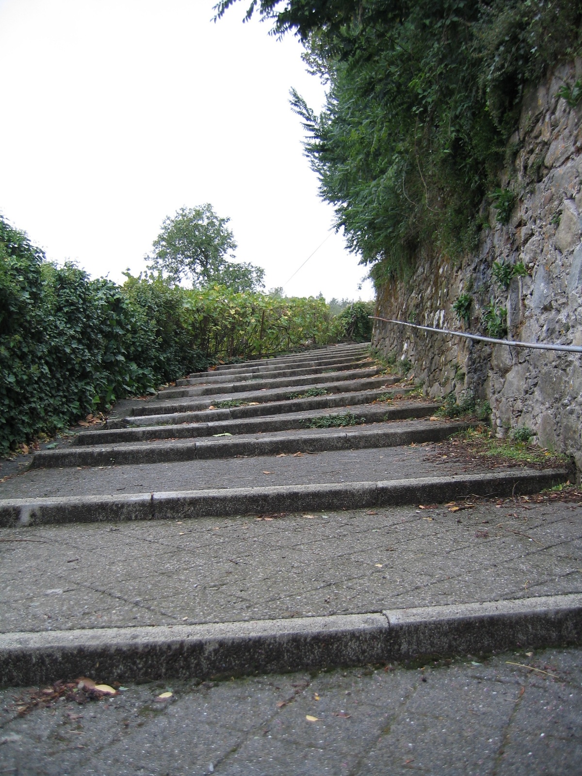 IMG 0757