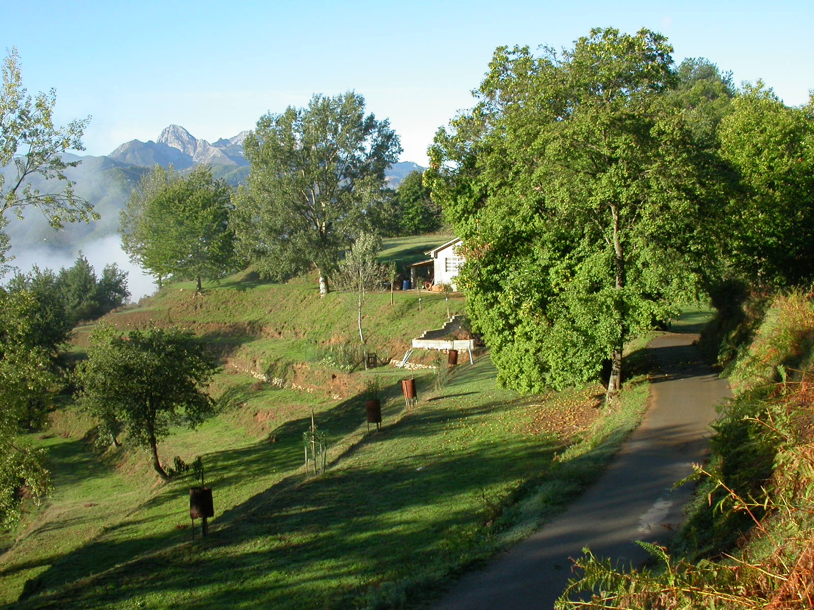 IMG 0765A