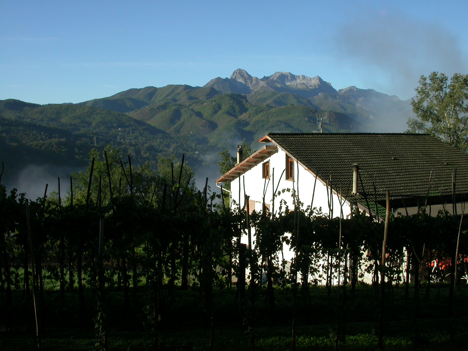 IMG 0765B