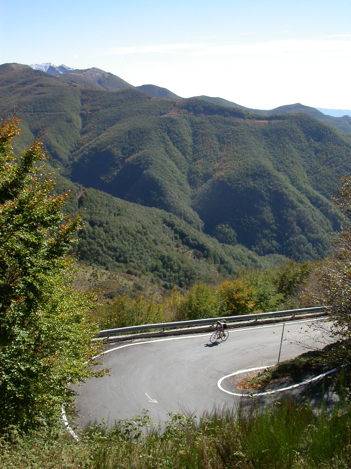 IMG 0768A
