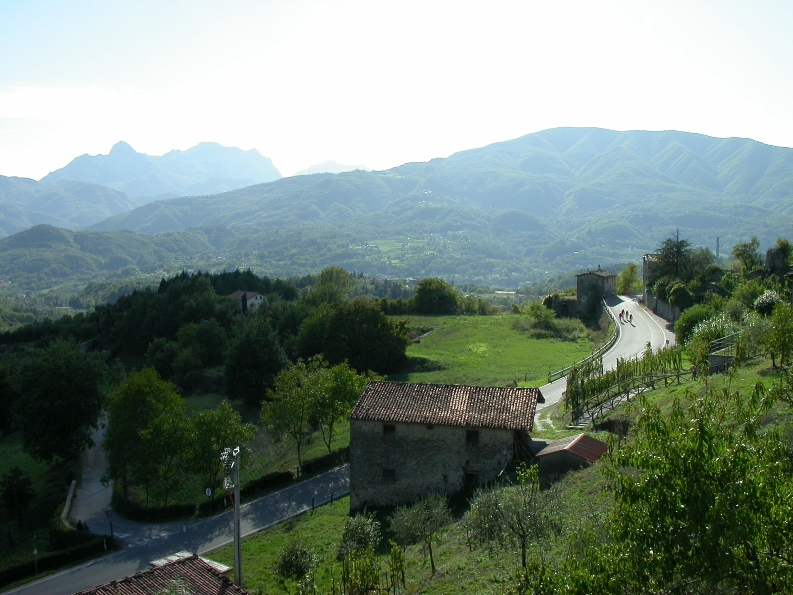 IMG 0771B