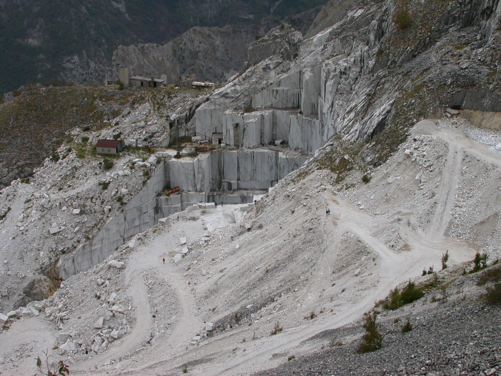 IMG 0777