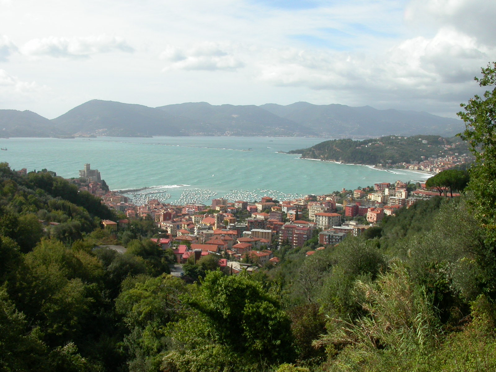 IMG 0778