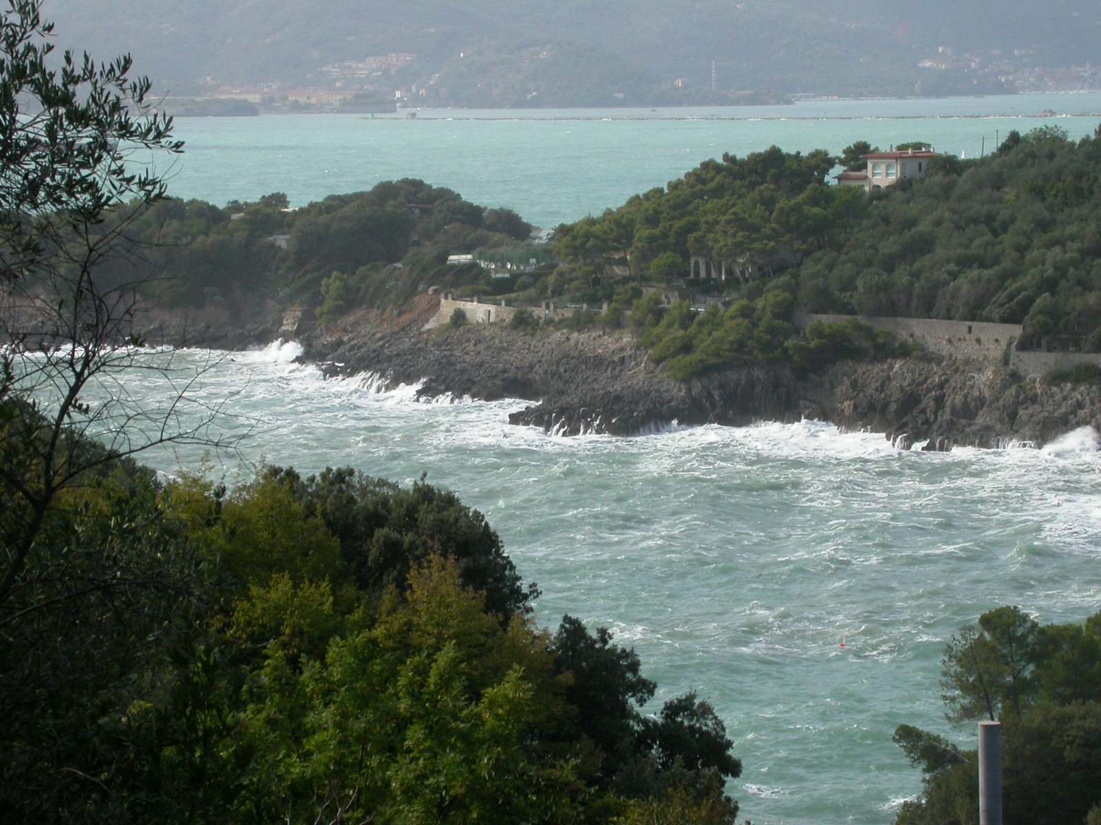 IMG 0779