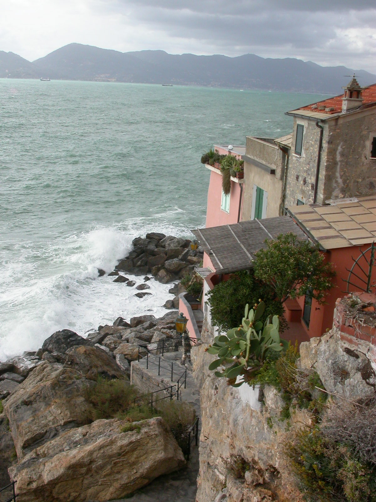 IMG 0781