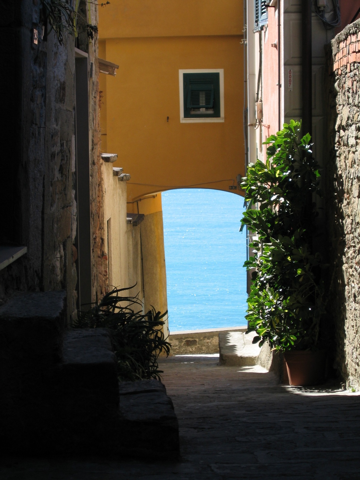 IMG 0823a