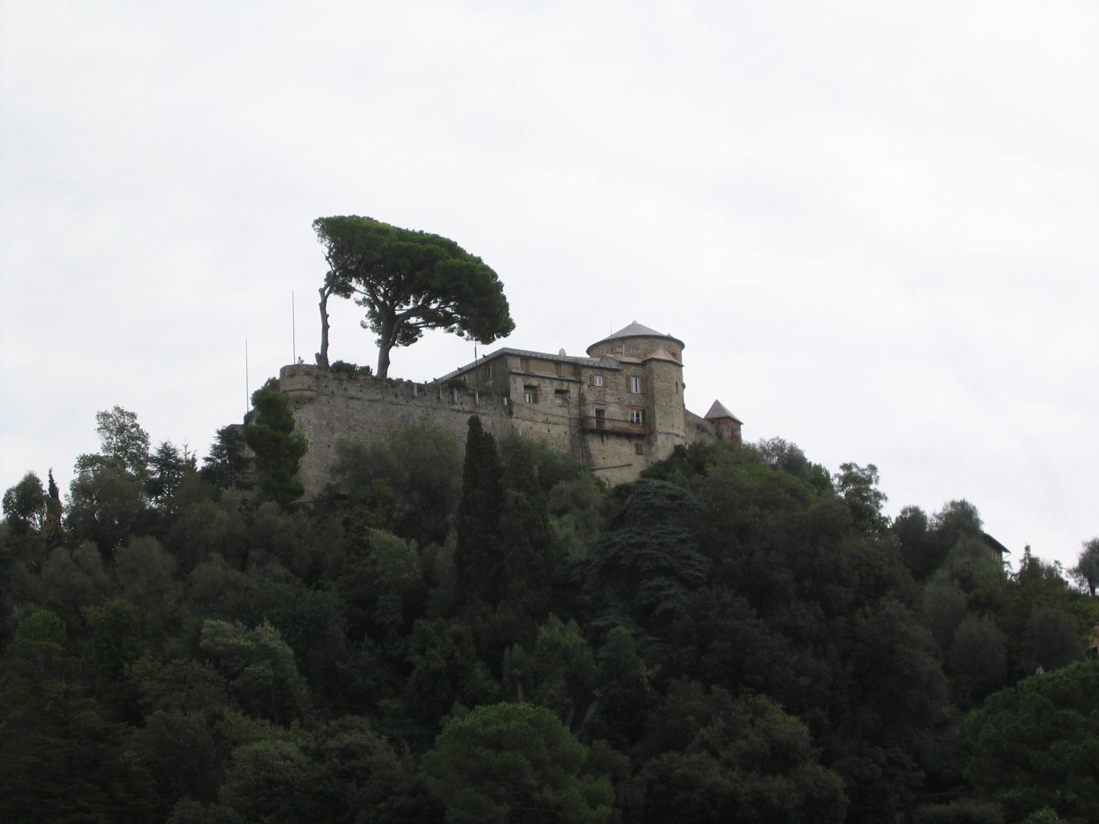 IMG 0883