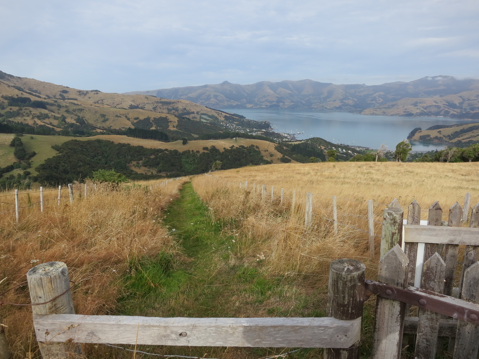 New zealand south island 012