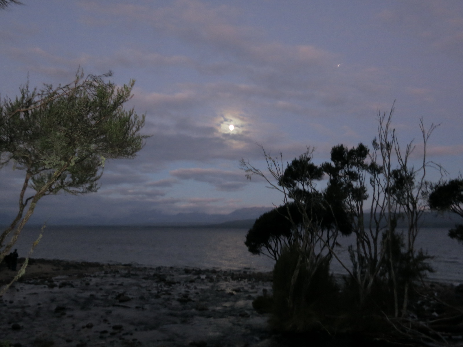 New zealand south island 028