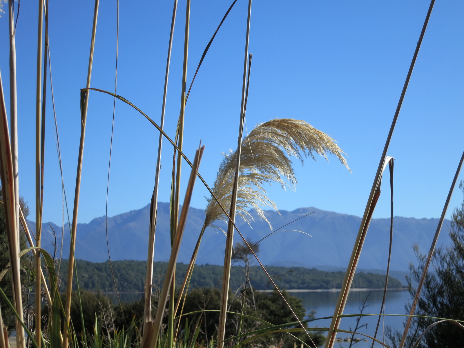 New zealand south island 031
