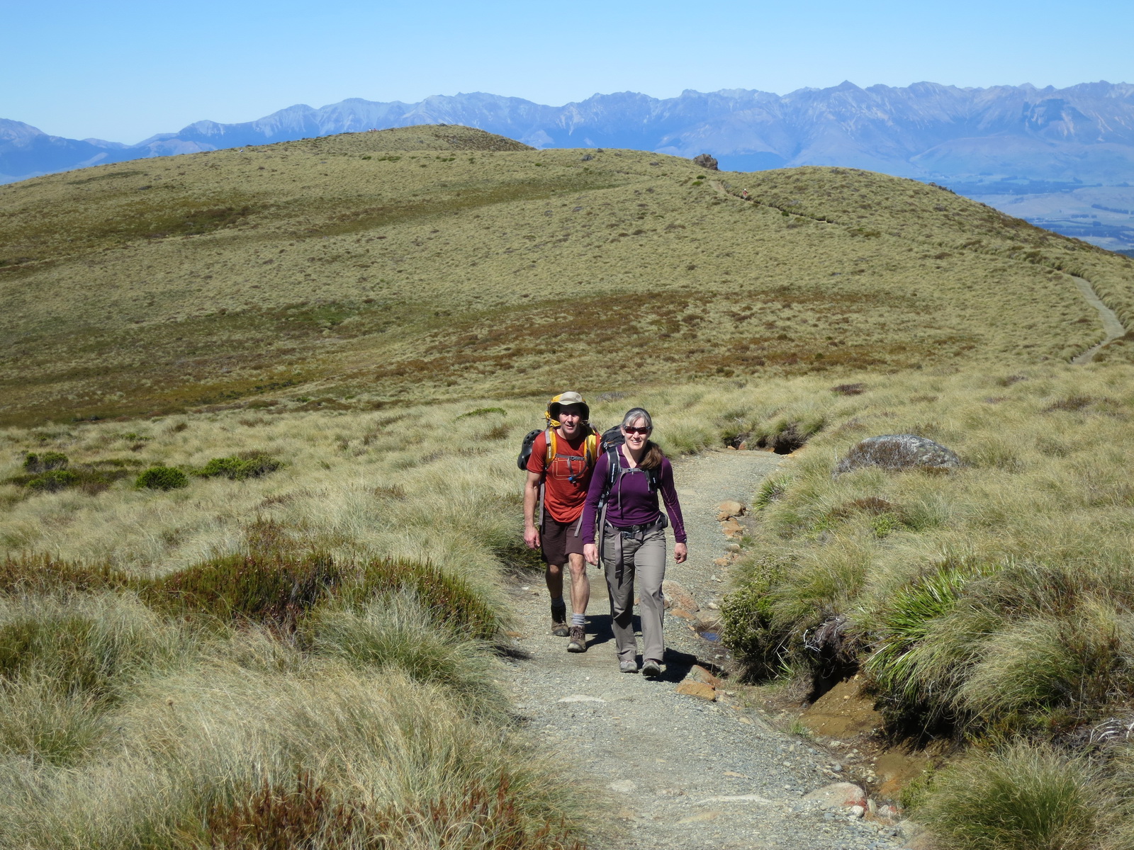 New zealand south island 032